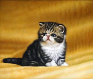 A Cat, ShanGallery.com