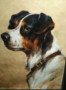 Dog, Shangallery.com